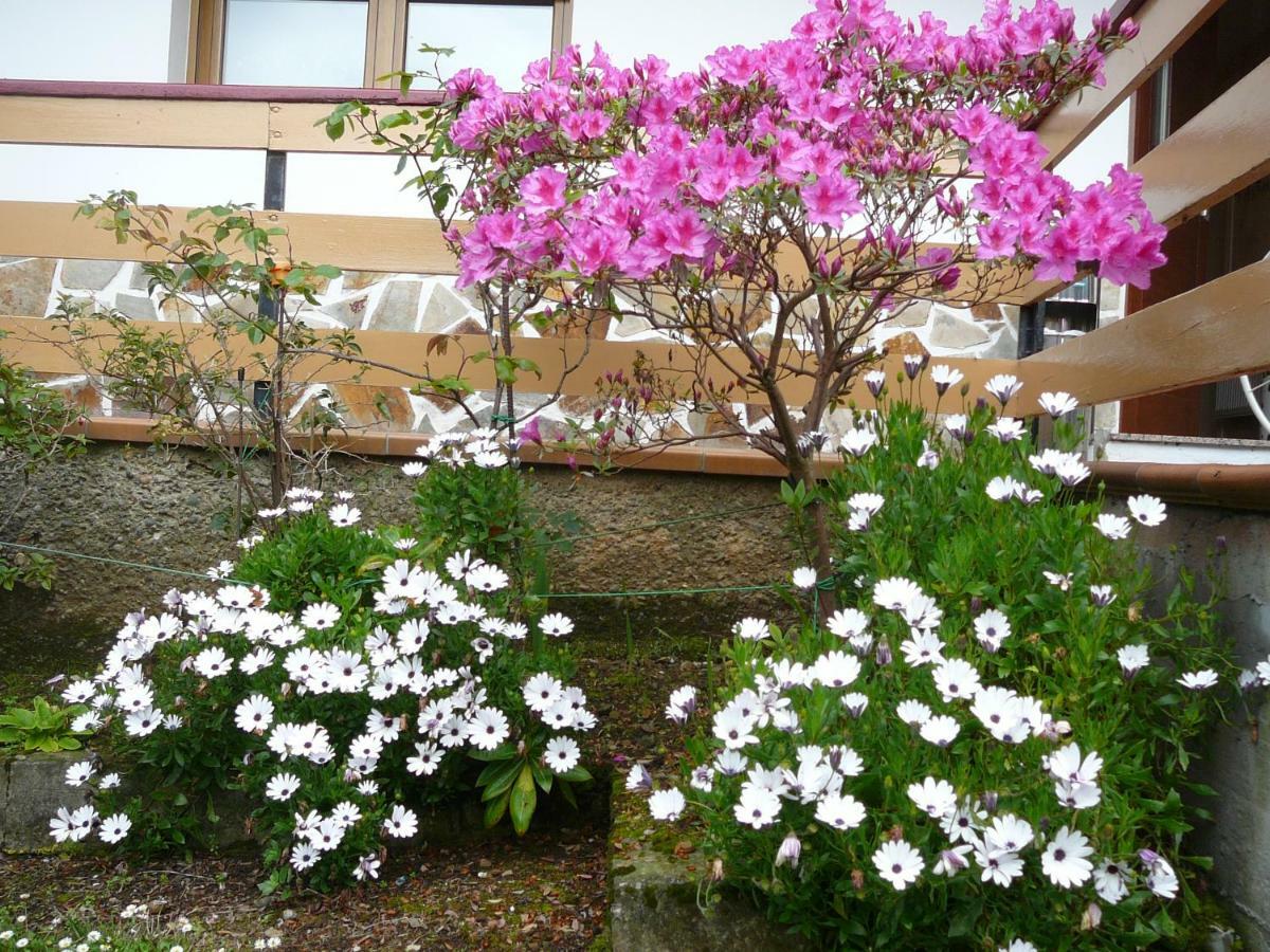 Hotel El Pinar Villapedre 외부 사진